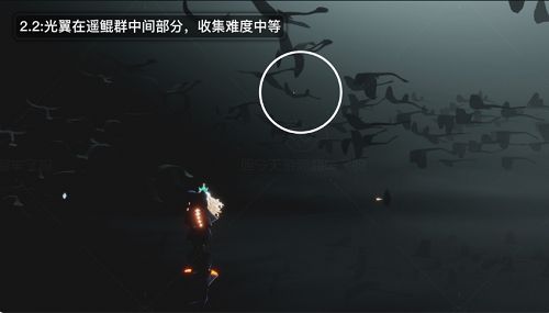 光遇破晓季光翼在什么地方
