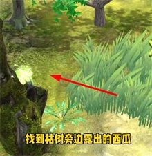 夺笋高手彩蛋有哪些-夺笋高手彩蛋位置大全