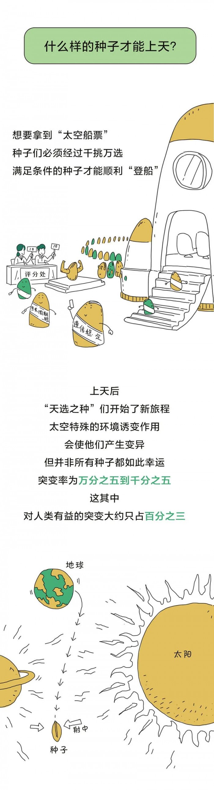 中国人的种菜天赋有多强？太空也能种水稻