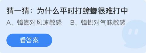 为什么平时打蟑螂很难打中-支付宝蚂蚁庄园5月27日