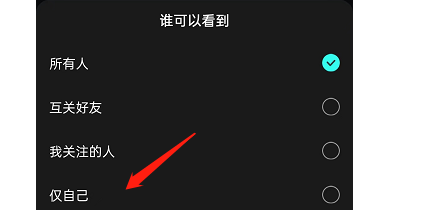 波点音乐怎么设置不让别人查看到听歌状态