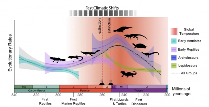 哈佛研究：气候变化推动了爬行动物时代的开始