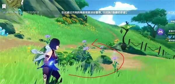 原神观察须弥蔷薇寻找隐藏的歌曲任务怎么过