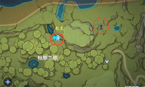 原神须弥梦之树在哪 原神须弥梦之树位置