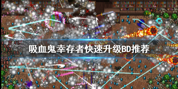 【吸血鬼幸存者攻略】快速升级BD推荐（详细教程）