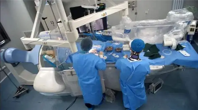 国内首例脑机接口动物实验