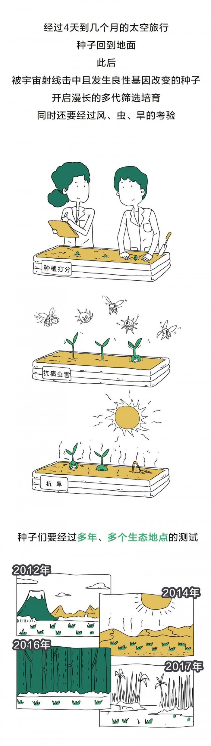 中国人的种菜天赋有多强？太空也能种水稻
