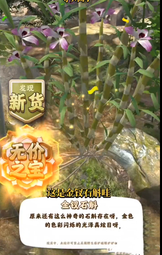 夺笋高手金钗石斛在哪里-金钗石斛怎么获得