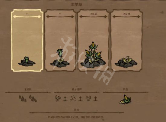 【饥荒联机版攻略】巨大作物种植方法介绍（详细教程）