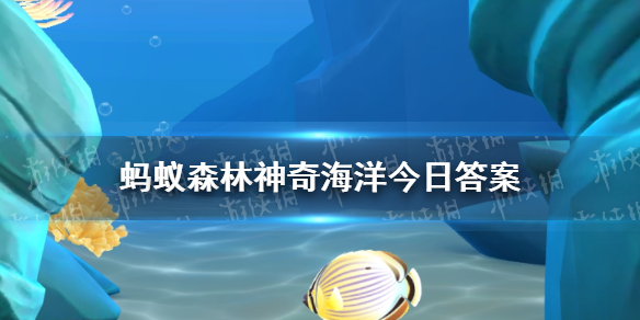 【海岸卫士攻略】神秘海域答案6.16（详细教程）
