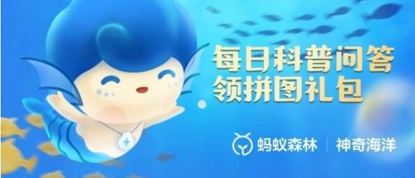 我国首批国家级海洋生态文明建设示范市不包括-支付宝神奇海洋6.20