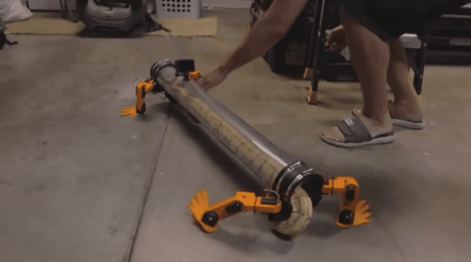 油管博主给蛇做了套义肢 三千万人在线围观