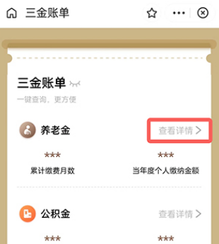 支付宝养老金缴费记录如何查询-养老金缴费记录查询流程介绍与推荐
