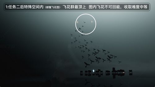 光遇破晓季光翼在什么地方