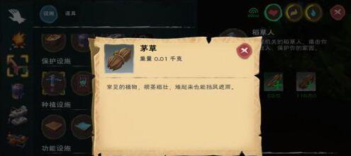 创造与魔法稻草人制作方法介绍