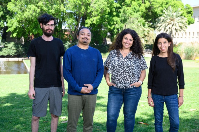 科学家们发现血管会“记住”它们的起源