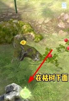 夺笋高手彩蛋有哪些-夺笋高手彩蛋位置大全