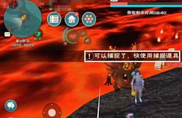 创造与魔法熔岩露齿鲨捕捉方法