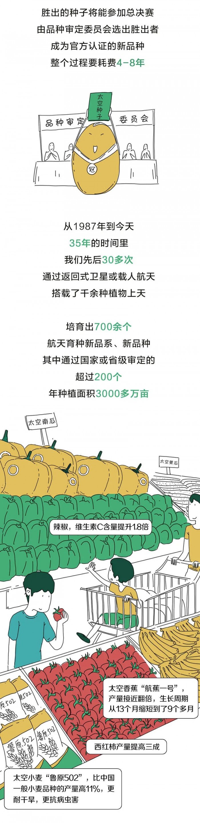 中国人的种菜天赋有多强？太空也能种水稻