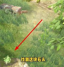 夺笋高手彩蛋有哪些-夺笋高手彩蛋位置大全