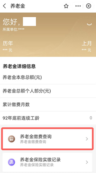支付宝养老金缴费记录如何查询-养老金缴费记录查询流程介绍与推荐