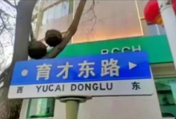 抖音育才花园视频事件是什么梗