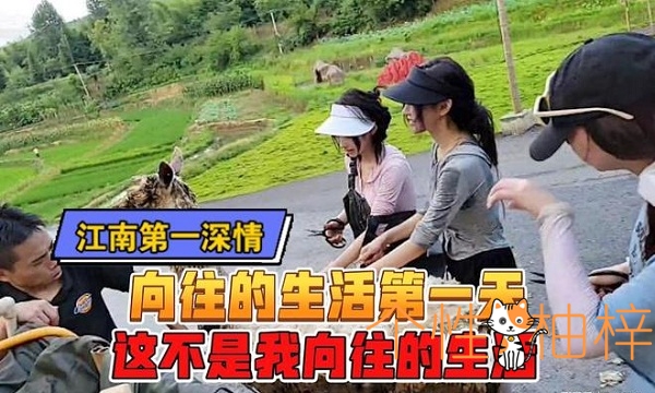 虎牙董锦程也玩撕名牌游戏，逃不过被妹妹疯狂摩擦！