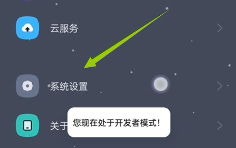 coloros12怎么打开开发者模式-coloros12开发者选项进入方法