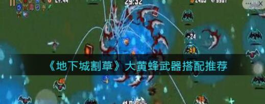 地下城割草大黄蜂武器搭配推荐