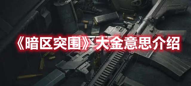 暗区突围大金是什么意思-暗区突围大金意思介绍