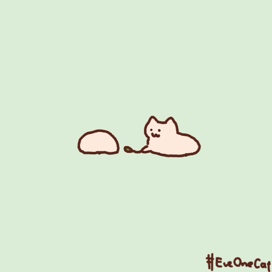 抖音EveOneCat怎么拍？EveOneCat特效玩法介绍