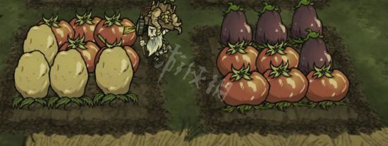 【饥荒联机版攻略】巨大作物种植方法介绍（详细教程）