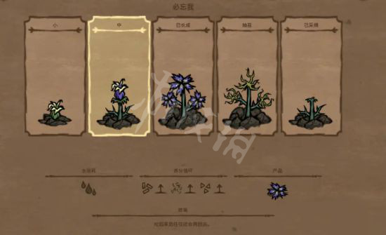 【饥荒联机版攻略】巨大作物种植方法介绍（详细教程）