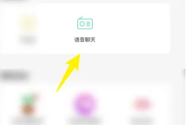 陌陌语音聊天怎么开始 开始语音聊天的方法介绍