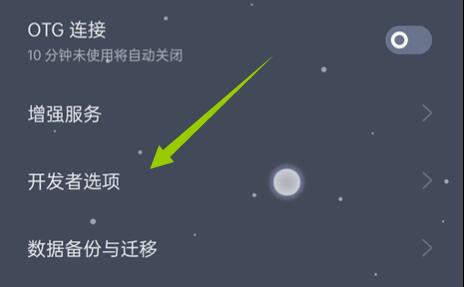 coloros12怎么打开开发者模式-coloros12开发者选项进入方法
