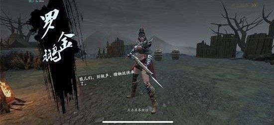 流星蝴蝶剑手游罗金鹏怎么打？BOSS罗金鹏打法攻略