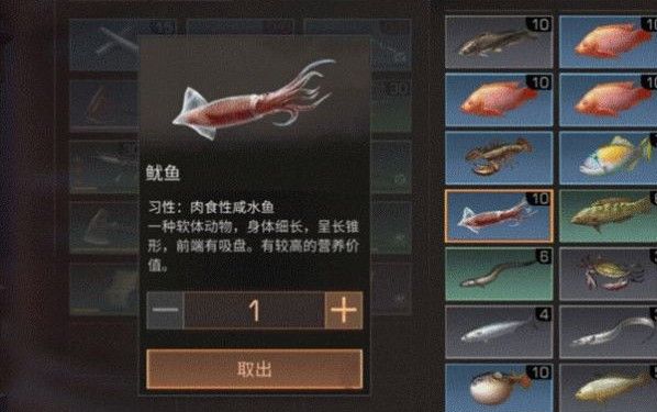 明日之后鱿鱼在哪钓？鱿鱼位置海域介绍