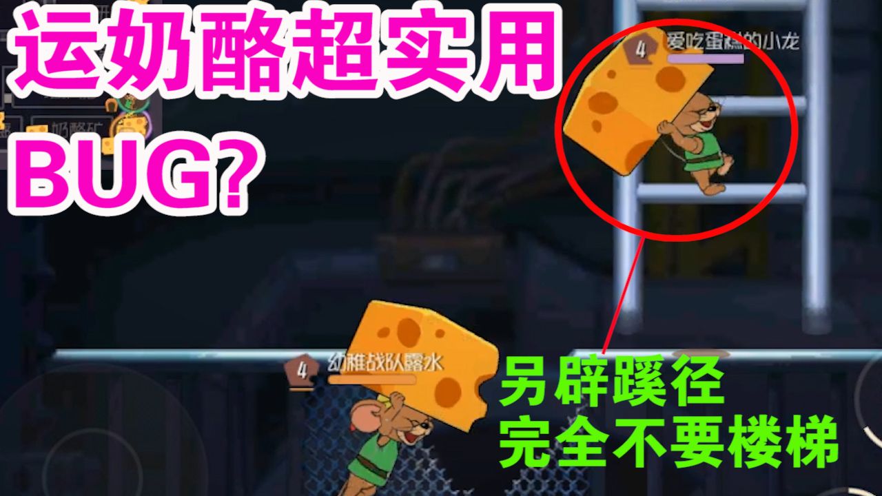 猫和老鼠：房间内也能实现失重？溜猫运奶酪超实用BUG！太有趣了