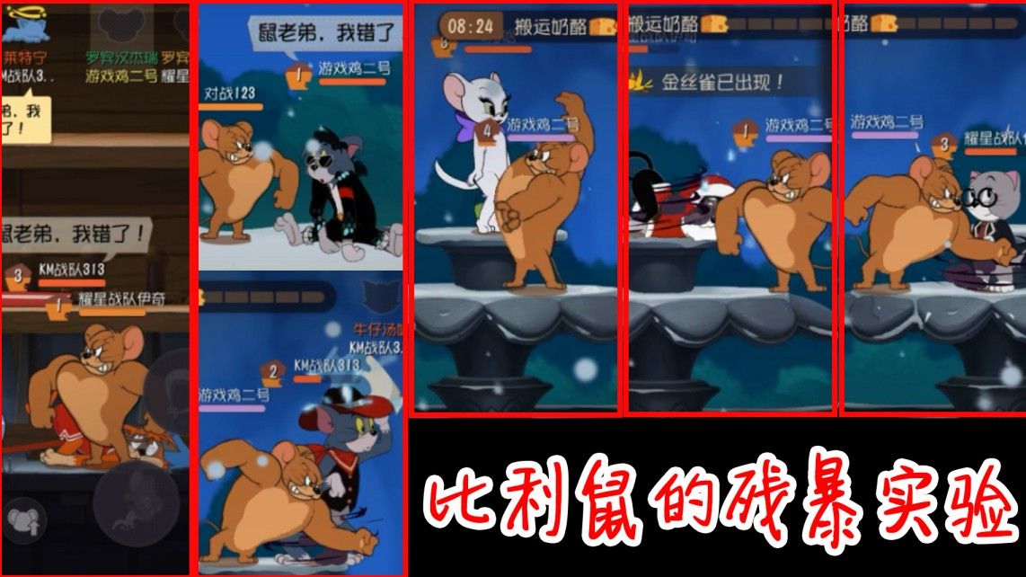 猫和老鼠：比利鼠的残暴实验，猫能抗住几下攻击？哪只猫最菜呢？