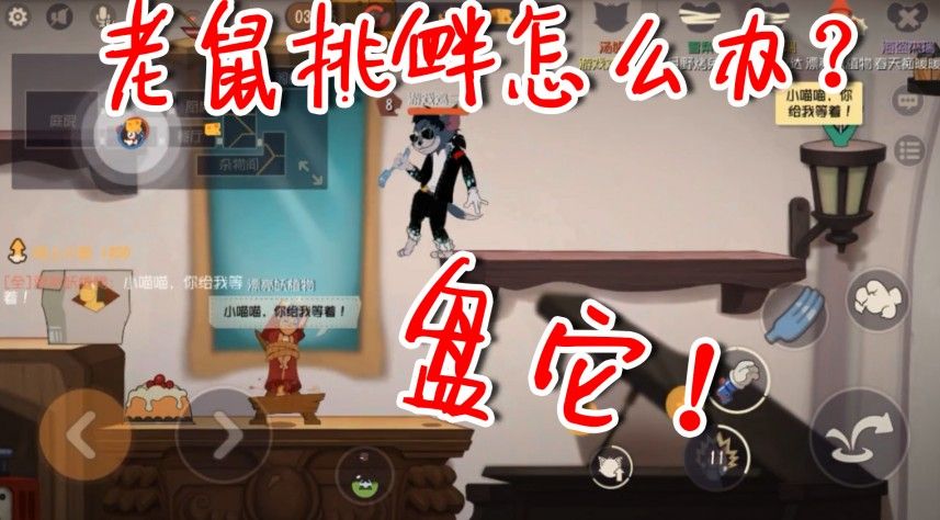 猫和老鼠：鼠党疯狂挑衅怎么办？盘它！猫皇的愤怒你惹不起！