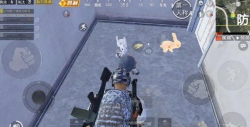 和平精英白兔子和金兔子哪个好？白兔子和金兔子区别对比