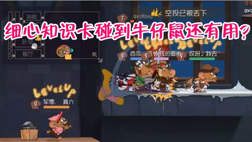 猫和老鼠：带细心知识卡的猫咪，碰到往脚下塞仙人掌的老鼠，绝配