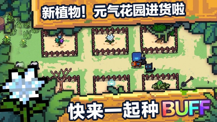 元气骑士：花园植物进新货！妙妙花随机天赋？蓝盾都能开局得