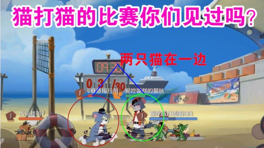 猫和老鼠：两只猫打架你们见过吗？能把对面直接坑输？这玩法6了