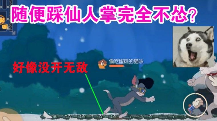猫和老鼠：克制牛仔仙人掌的小技巧？堪称猫玩家的福音？有点实用