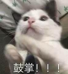 多多自走棋新版本策划无死角为你解答!