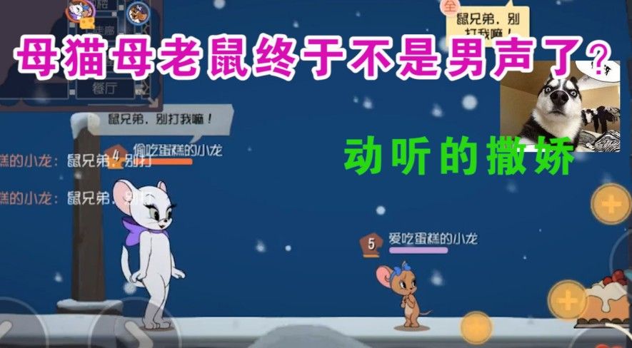 猫和老鼠：母猫母老鼠语音大改版？雪梨语音让猫都舍不得抓？优秀