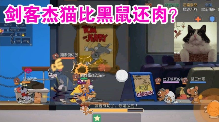 猫和老鼠：抗猫四下攻击有多恐怖？比黑鼠都肉的最强老鼠！猫哭了