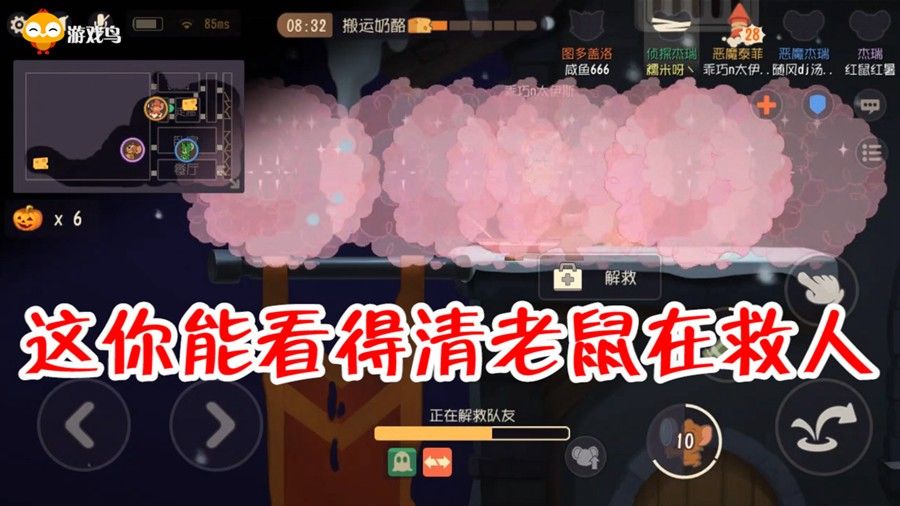 猫和老鼠：母猫放出满屏香水，没发现老鼠被救走了，有颜值没智商