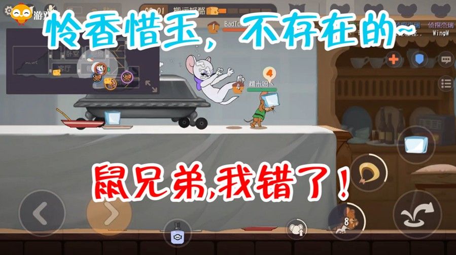 猫和老鼠：这两只老鼠太坏了，轮流欺负小母猫，队友都看不下去了！